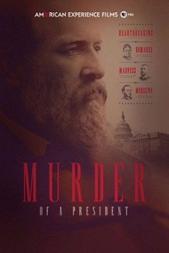Póster de Murder of a President
