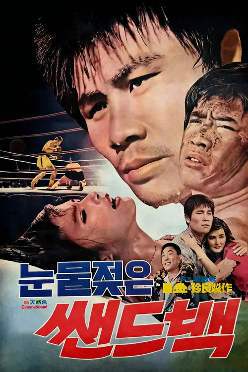 Póster de 눈물 젖은 샌드백
