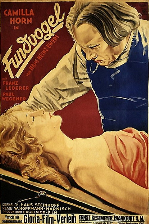 Póster de Fundvogel