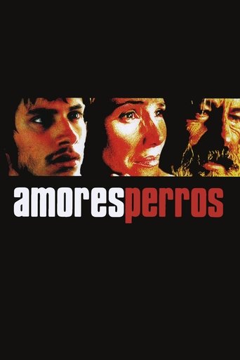 Póster de Amores perros