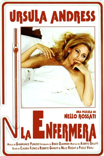 Póster de La Enfermera