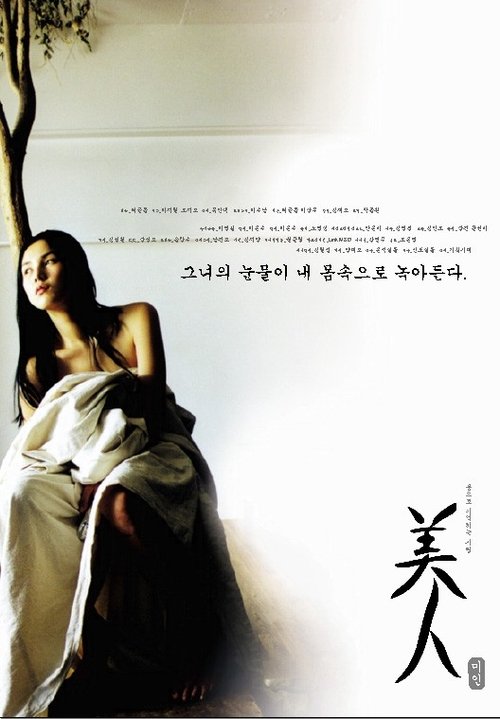 Póster de 미인