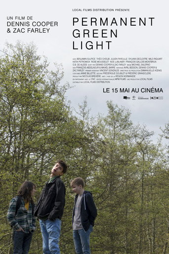Póster de Permanent Green Light
