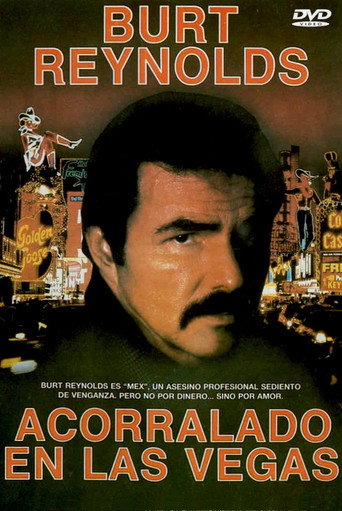 Póster de Heat
