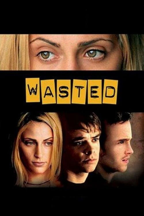 Póster de Wasted