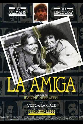 Póster de La amiga