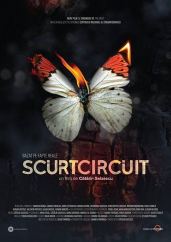 Póster de Scurtcircuit