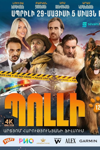 Póster de Պոլլի