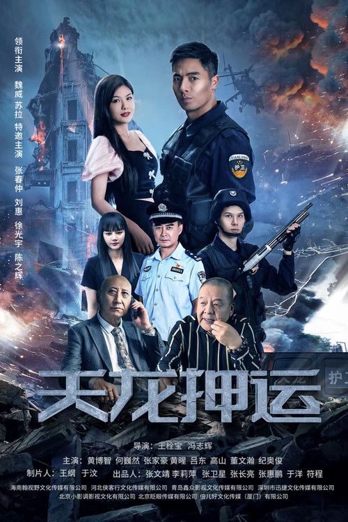 Póster de 天龙押运