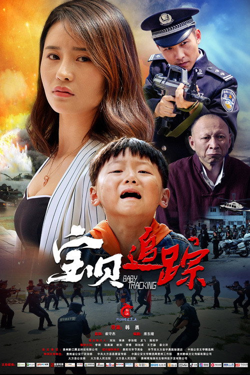 Póster de 宝贝追踪