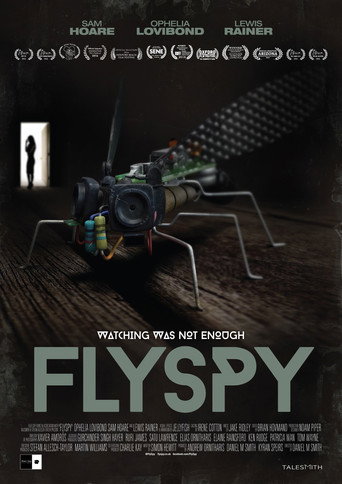 Póster de Flyspy