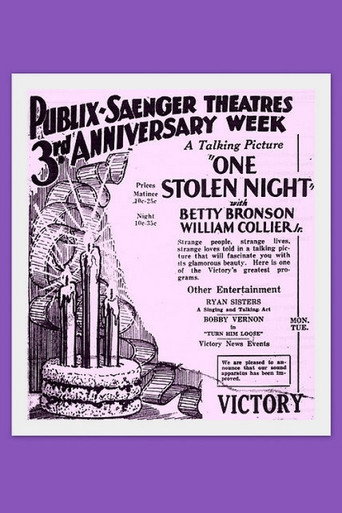 Póster de One Stolen Night