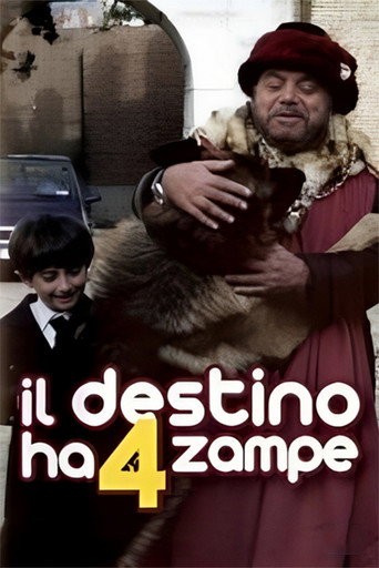 Póster de Il destino ha 4 zampe
