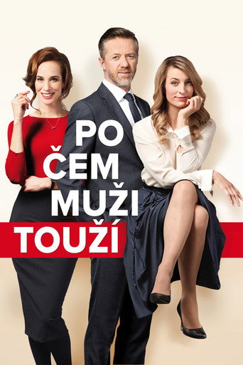Póster de Po čem muži touží