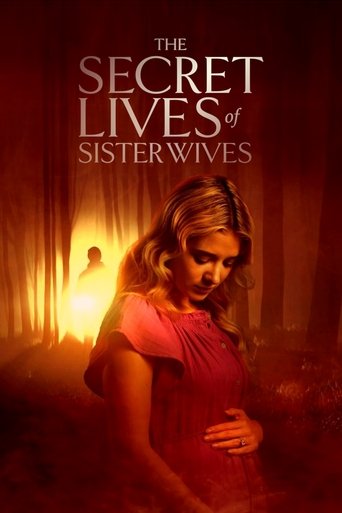 Póster de The Secret Lives of Sister Wives