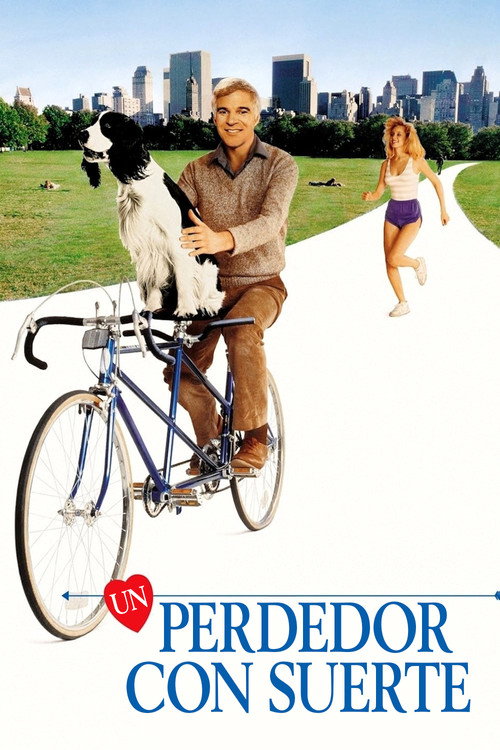 Póster de Un tipo solitario