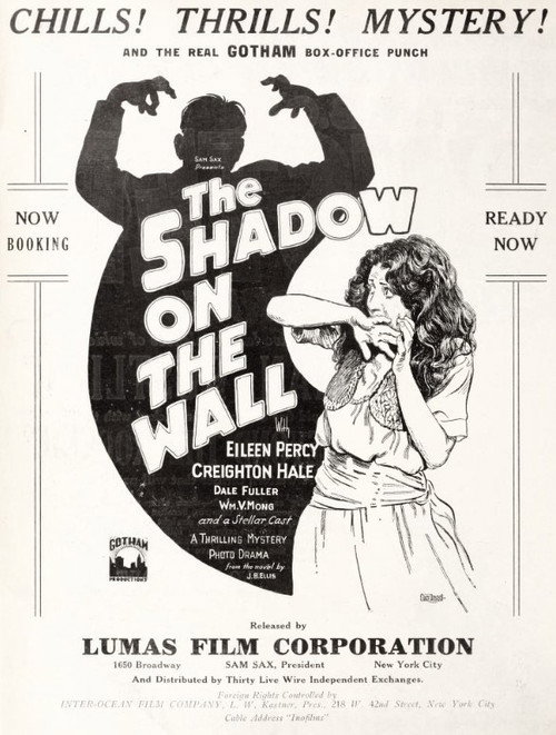 Póster de The Shadow on the Wall