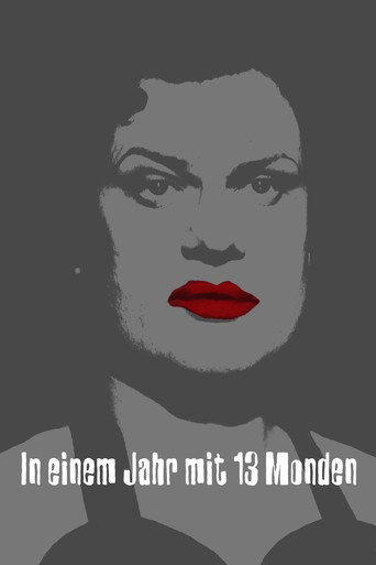 Póster de In einem Jahr mit 13 Monden