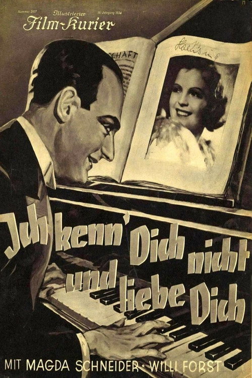 Póster de Ich kenn' dich nicht und liebe dich