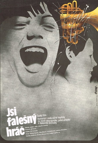 Póster de Jsi falešný hráč