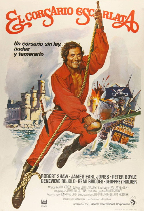 Póster de Swashbuckler