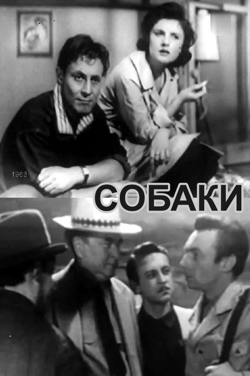 Póster de Собаки