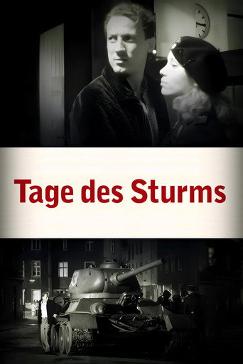 Póster de Tage des Sturms