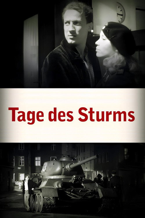 Póster de Tage des Sturms