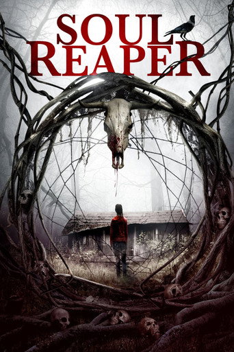 Póster de Soul Reaper