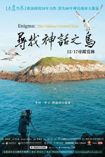 Póster de 尋找神話之鳥