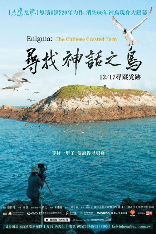 Póster de 尋找神話之鳥