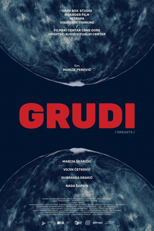 Póster de Груди