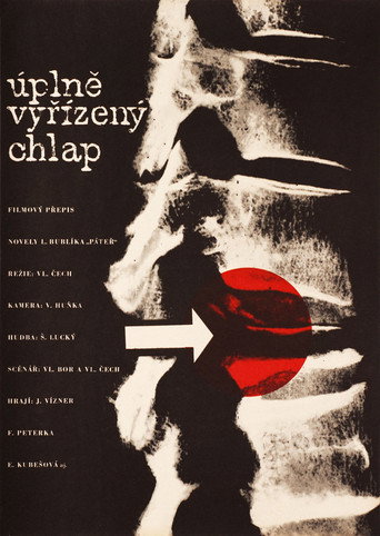 Póster de Úplně vyřízený chlap