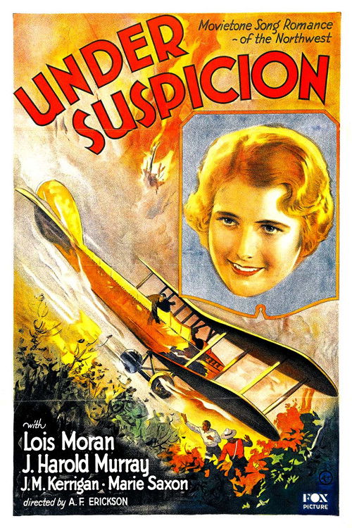 Póster de Under Suspicion