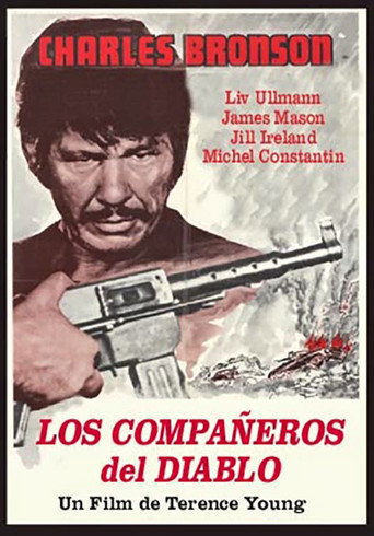 Póster de Cold Sweat
