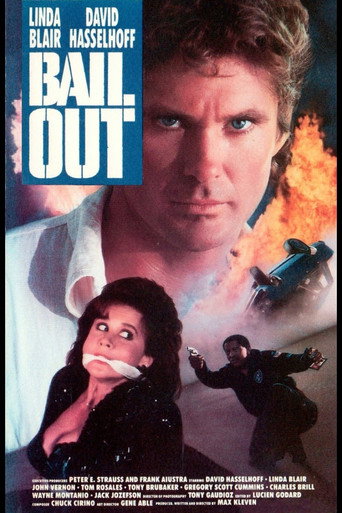 Póster de Bail Out