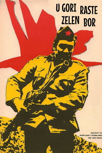 Póster de U gori raste zelen bor