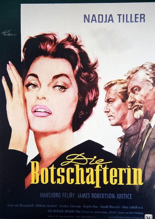 Póster de Die Botschafterin