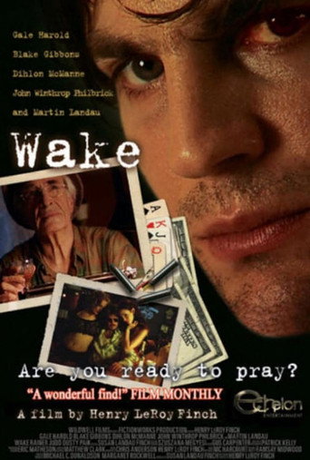 Póster de Wake