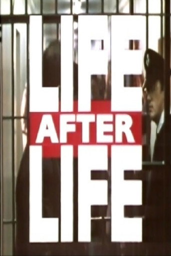 Póster de Life After Life