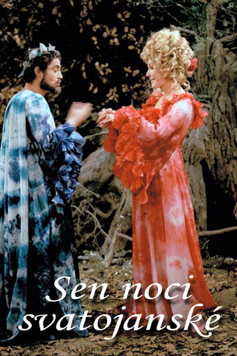 Póster de Sen noci svatojánské