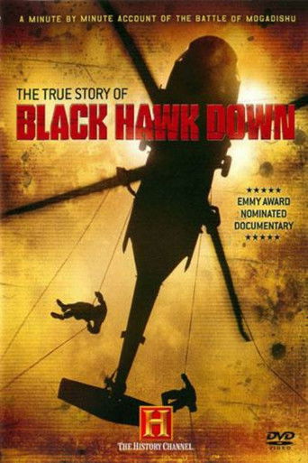 Póster de The True Story of Black Hawk Down