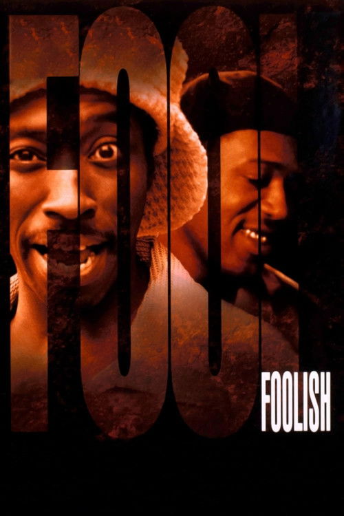 Póster de Foolish