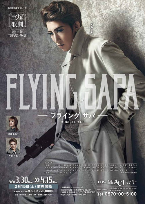 Póster de FLYING SAPA