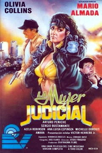 Póster de La mujer judicial