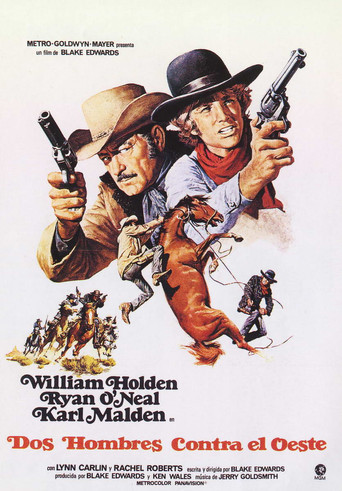 Póster de Wild Rovers