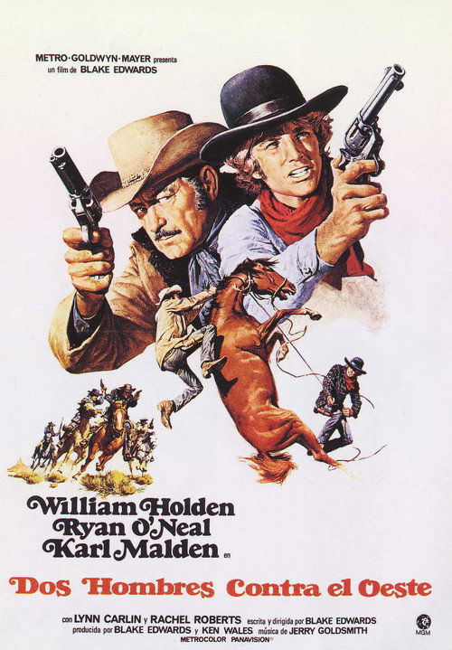 Póster de Wild Rovers