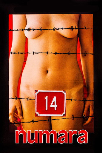 Póster de 14 numara