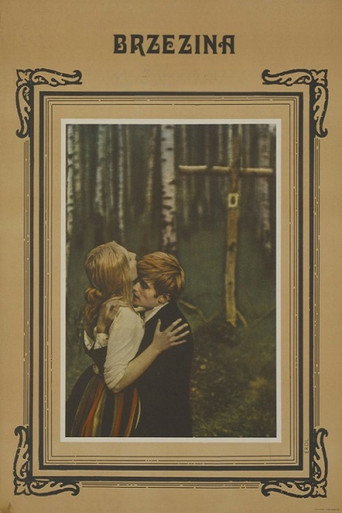 Póster de Brzezina