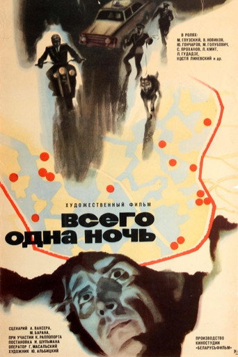 Póster de Всего одна ночь